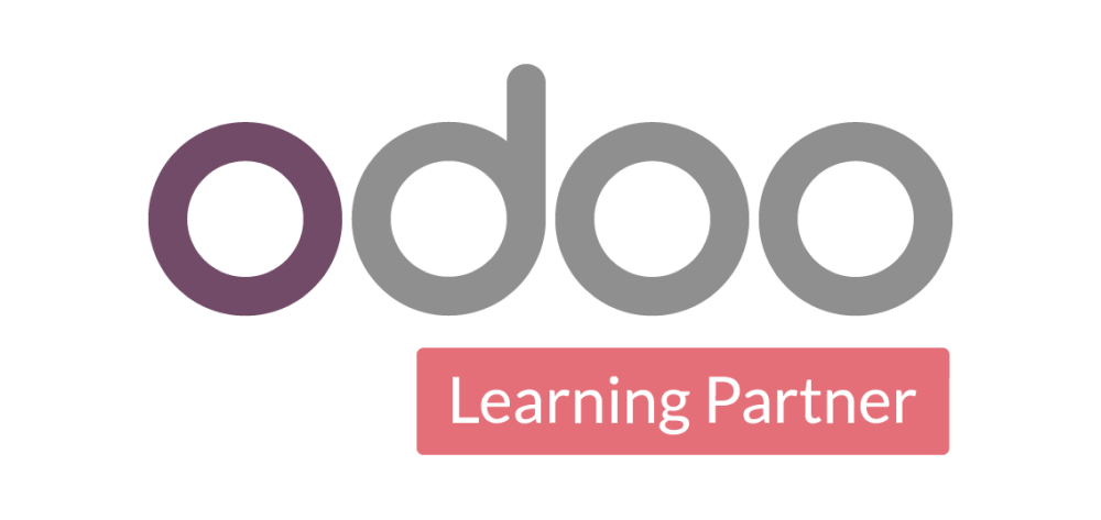 Odoo Service